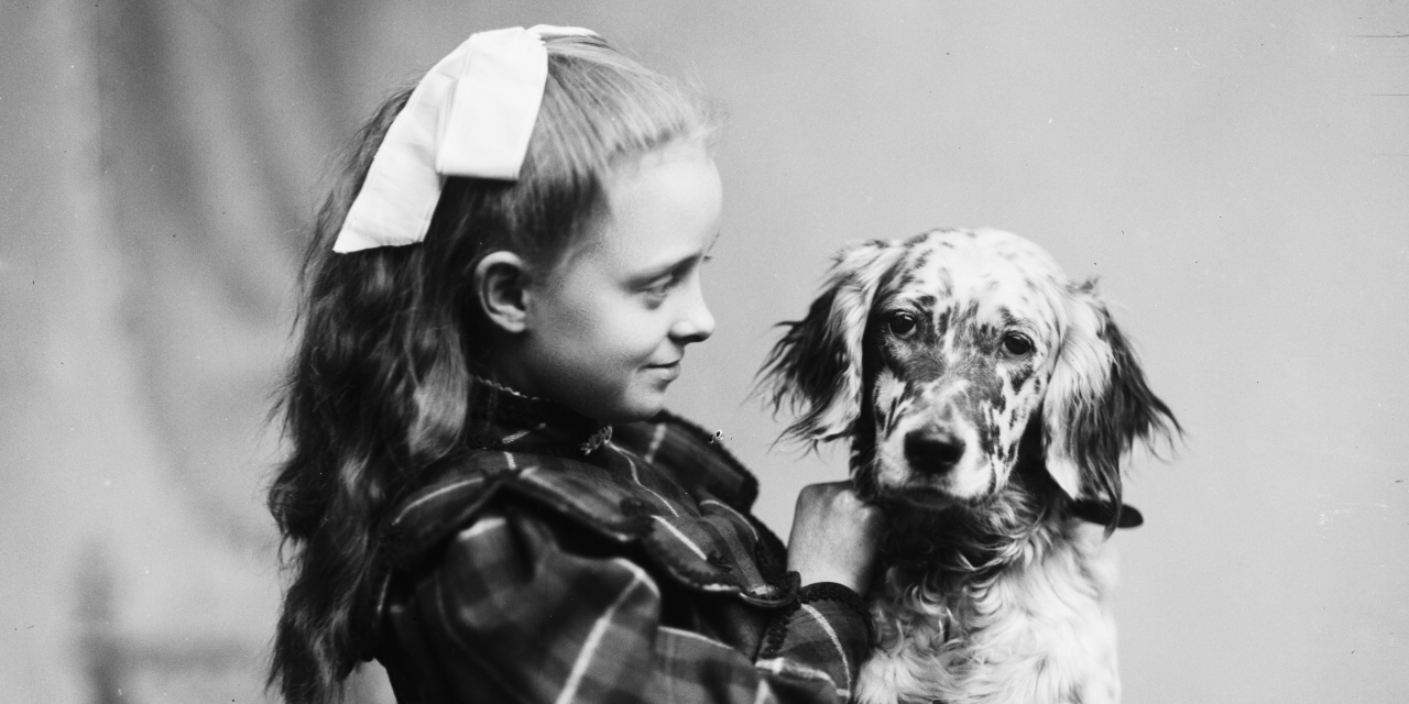 Fotografi af pige med kjole og sløjfe, der står med en hund