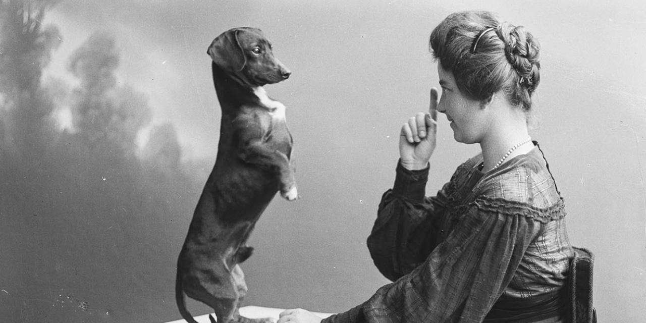 Fotografi af en kvinde, der lærer en gravhund at stå på bagbenene.