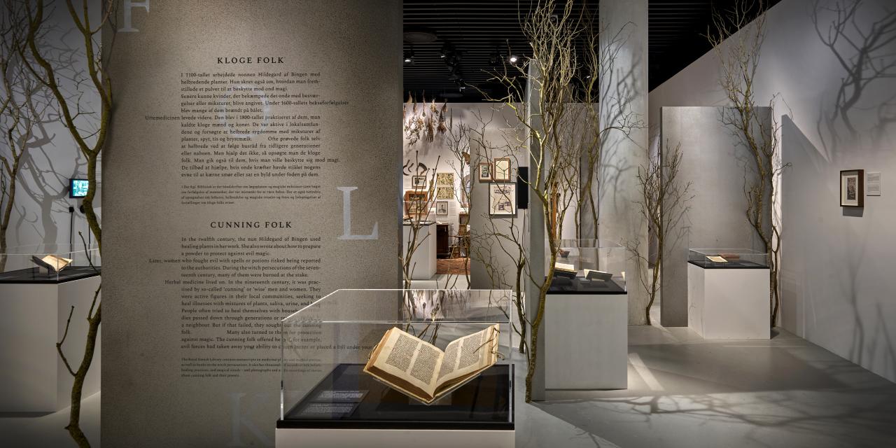 Glasmontrer med bøger i udstillingen.