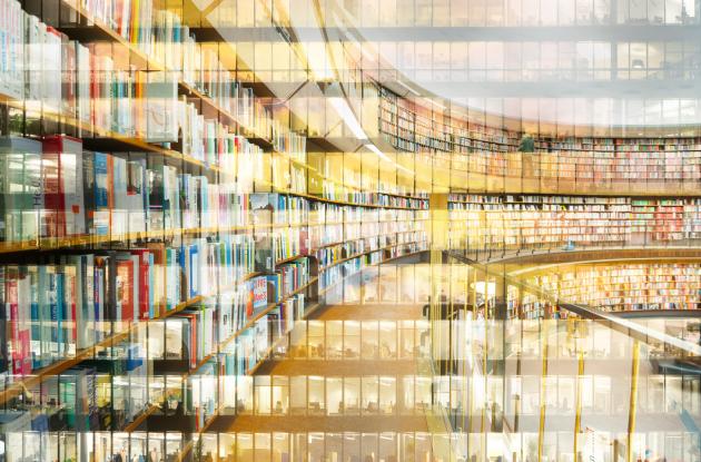 Curved wall of library shelves