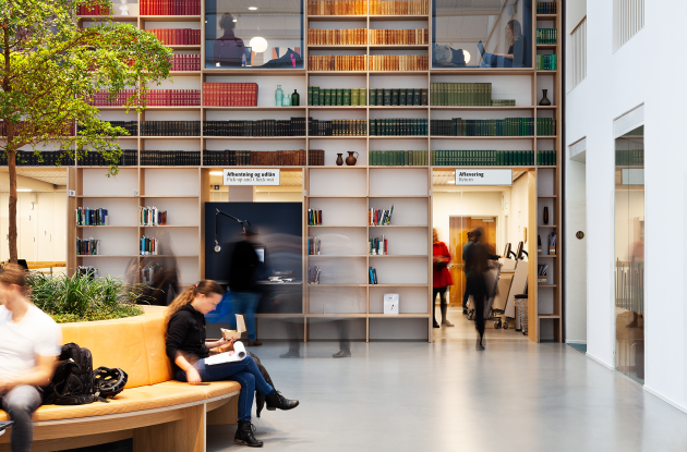 Audience at Bibliotekshaven, Royal Danish Library, Aarhus