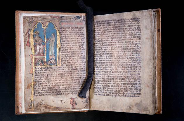 Billede der viser Codex Hardenbergianus slået op på en illustreret side.