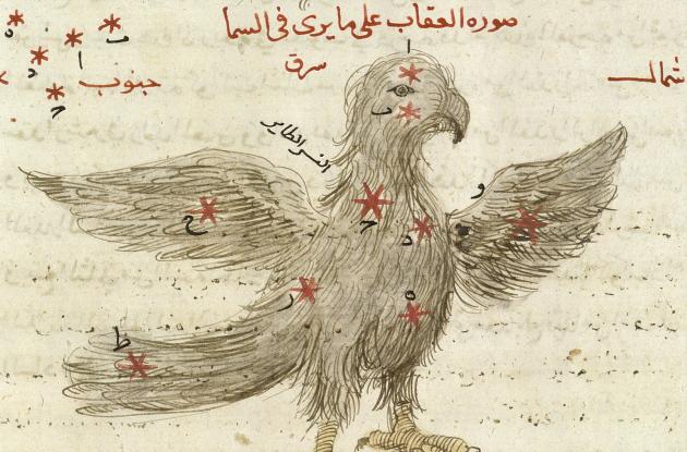 Tegning af to ørne med arabisk skrift ovenover