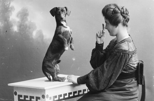 Lady with dog