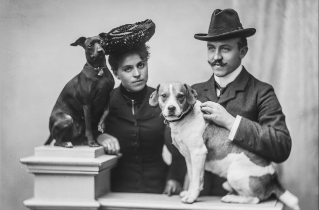 Portrait photograph of a man and woman in nice clothes with 2 dogs