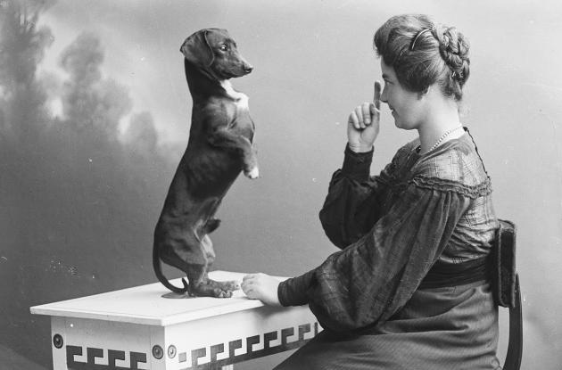 Fotografi af en kvinde, der lærer en gravhund at stå på bagbenene.