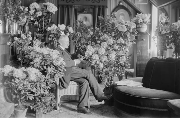 Mand sidder i stue fyldt med store blomster