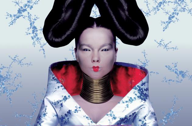Billede af Björks Homogenic-albumg