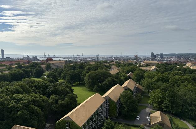 Udsigt over universitetsparken fra toppen af Bogtårnet