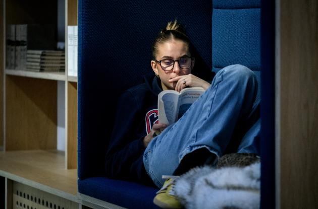 Biblioteksbruger i fordybelse