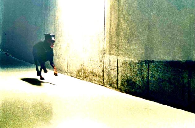 Værk af Jytte Rex: Styx