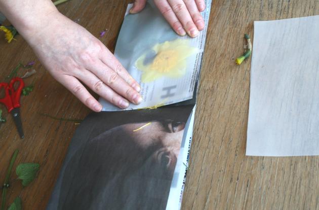 A hand sticks paper in a homemade flower press