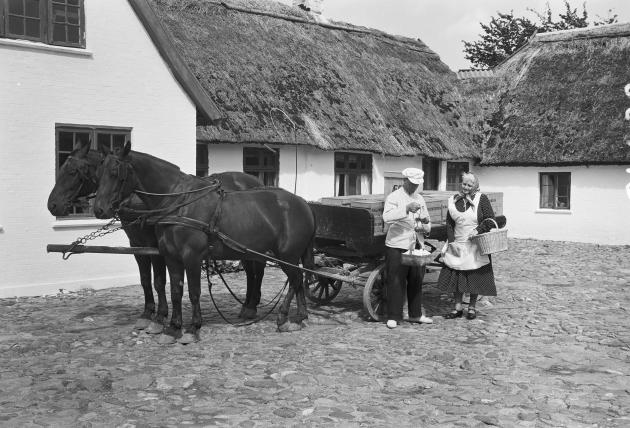 A grocer with a horse-drawn carriage filled with boxes of eggs.