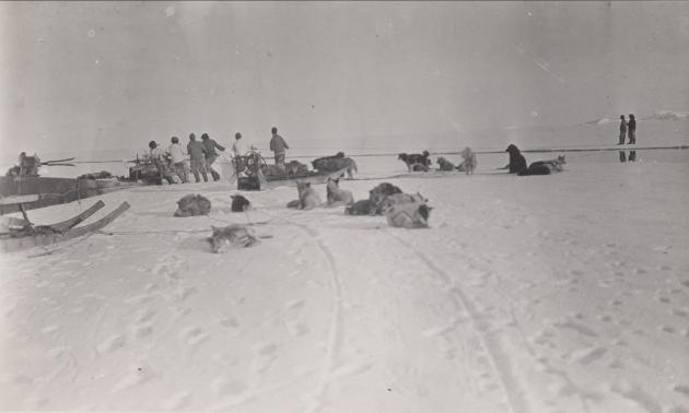 Photograph of a snowy landscape where there are 3 dog sleds, and a lot of people and sled dogs.