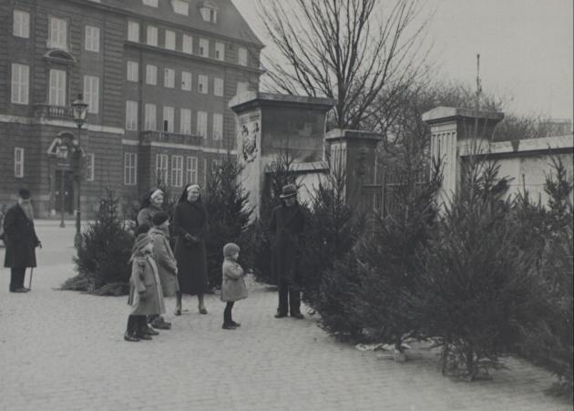 Photograph of the Christmas tree sale in Ørstedsparken