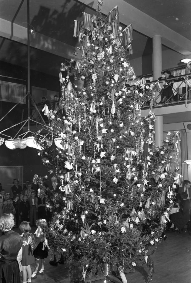 Photograph of a large Christmas tree from a Christmas tree party