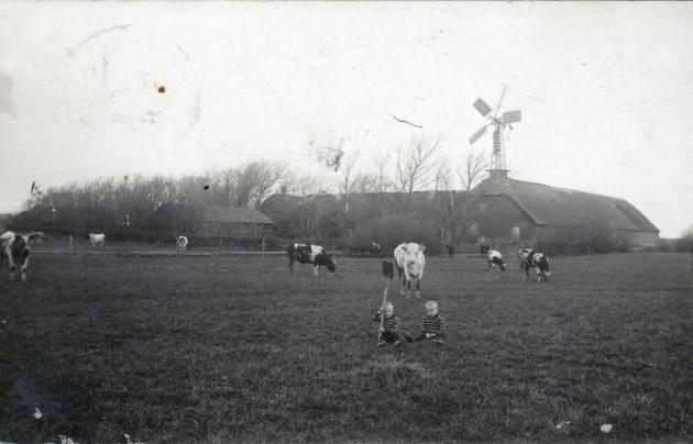 Billede af en mark med køer og to børn, der sidder med en skovl. I baggrunden ses en gård.