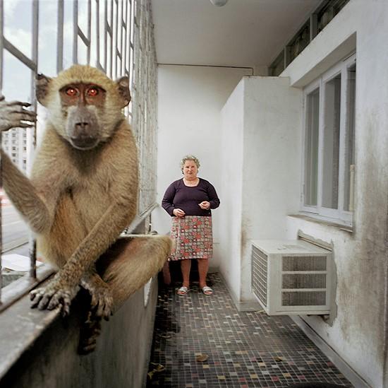 En kvinde står på en balkon med en abe i forgrunden. Begge kigger ind i kameraet
