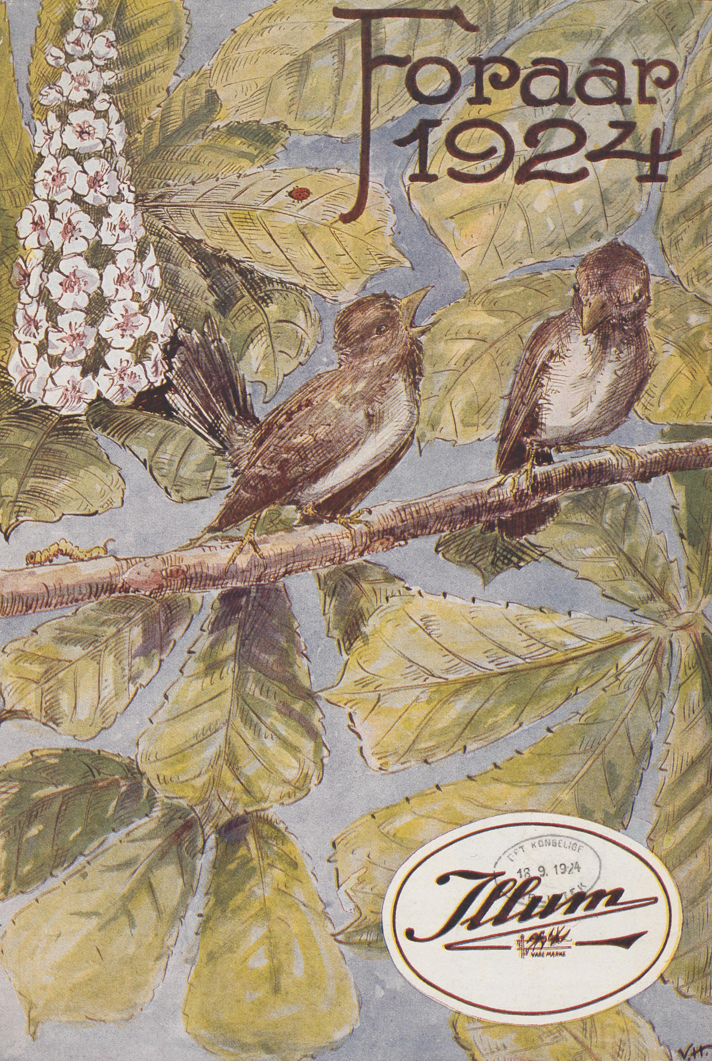 Håndtegnet forside til Illum Katalog, 1924. Illustrationen viser to små fugle siddende i et træ.