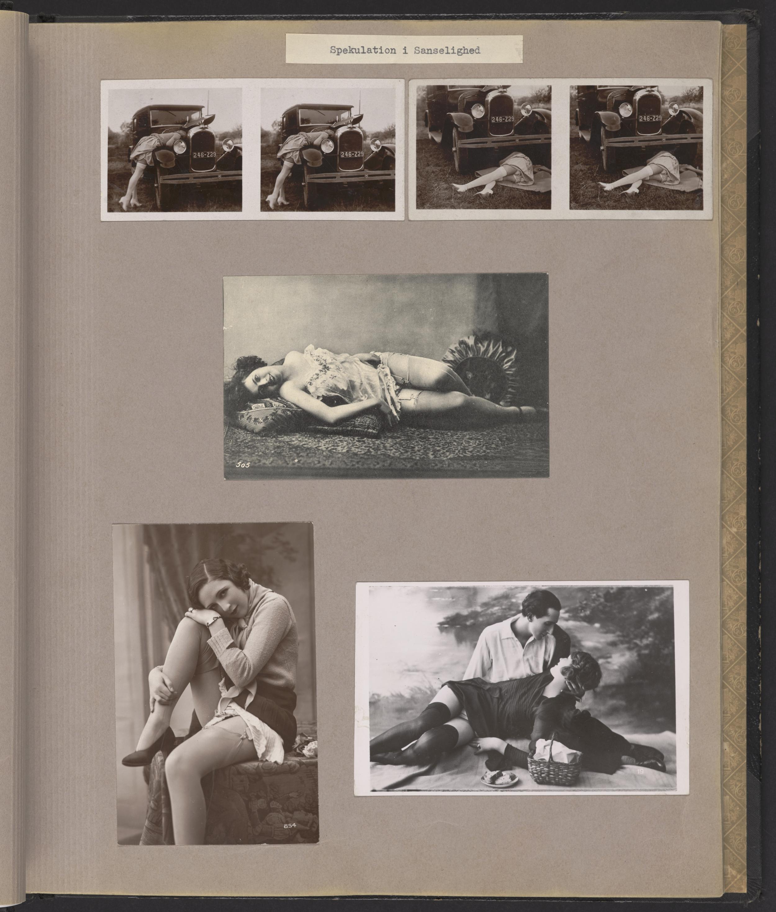 Forskellige erotiske billeder indklæbet i et fotoalbum