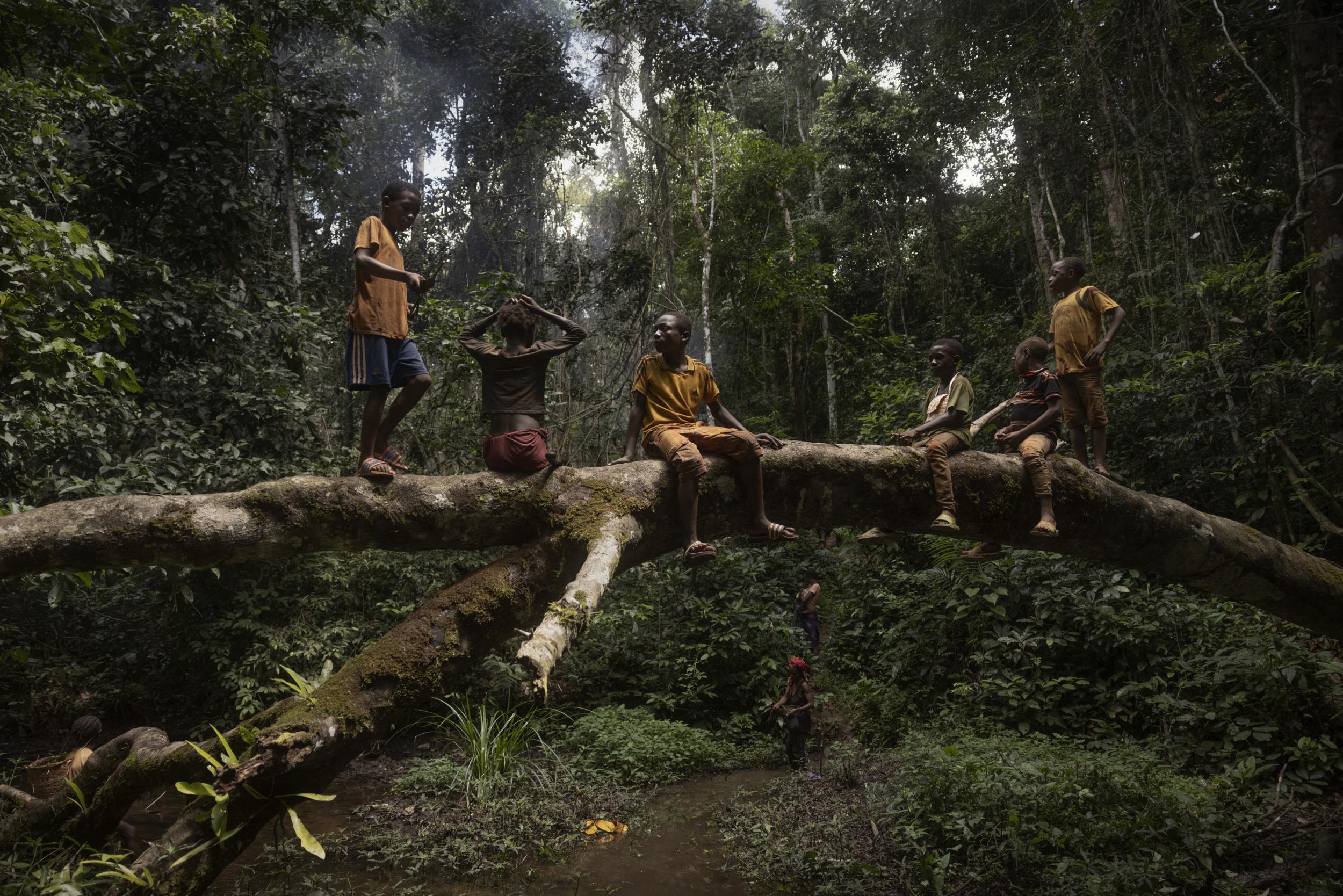 Photo from the competition "Press photo of 2023"