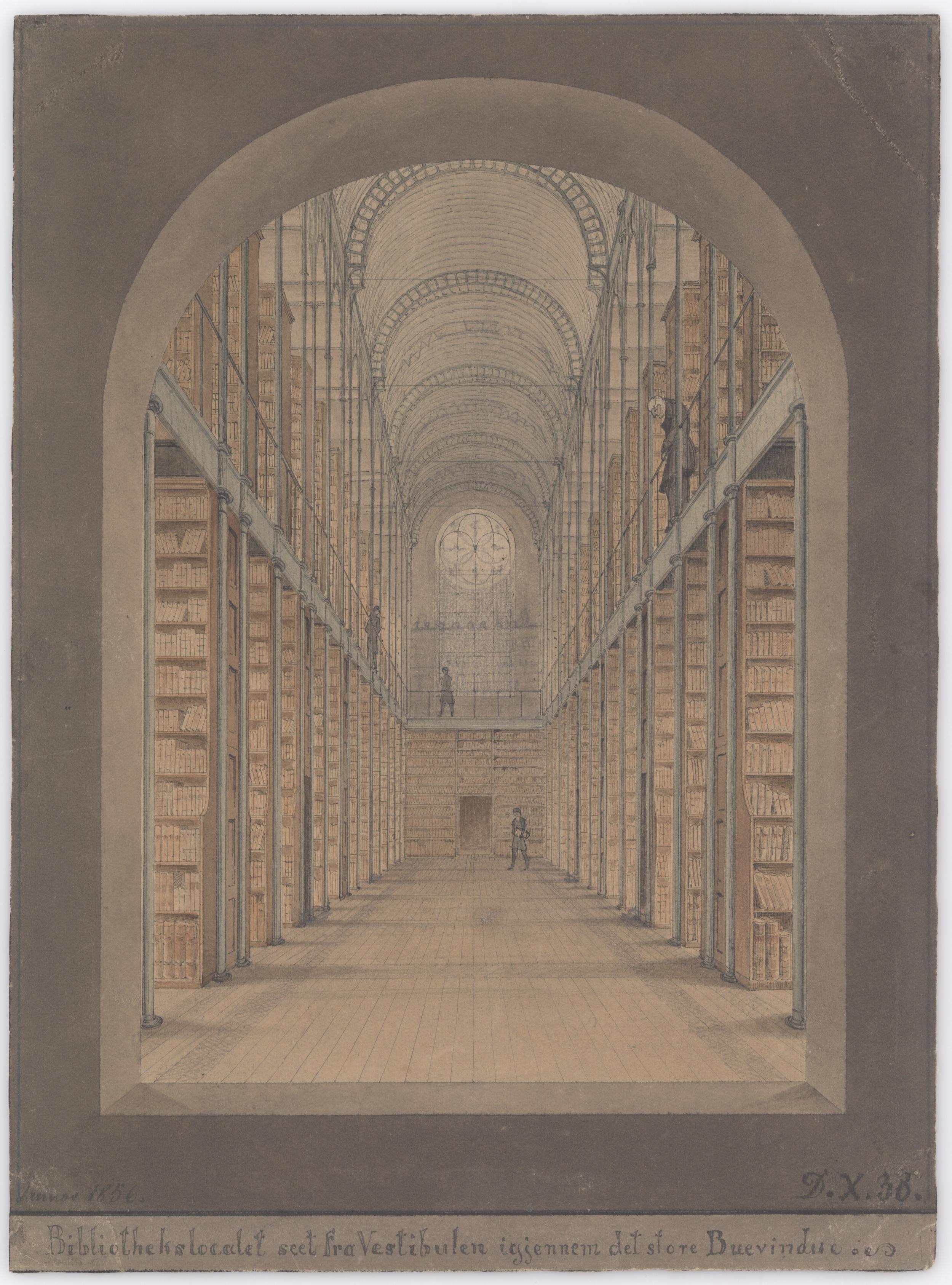 Architectural drawing. The library seen through the large arched window.