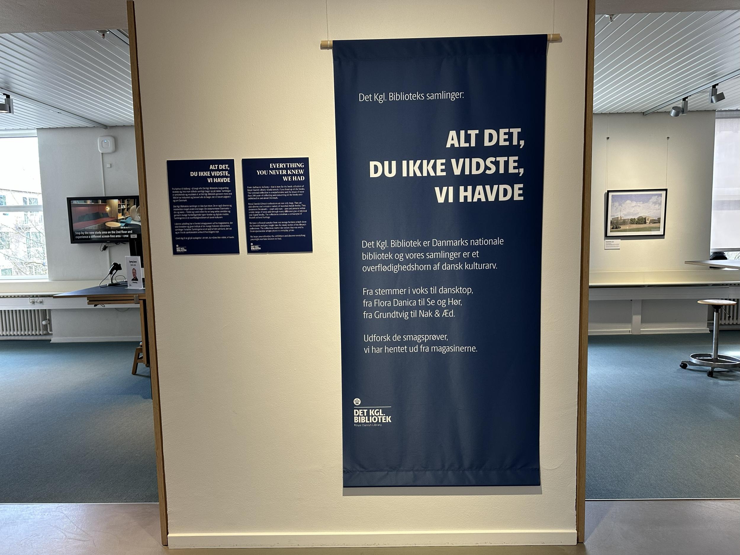 Alt det, du ikke vidst, vi havde