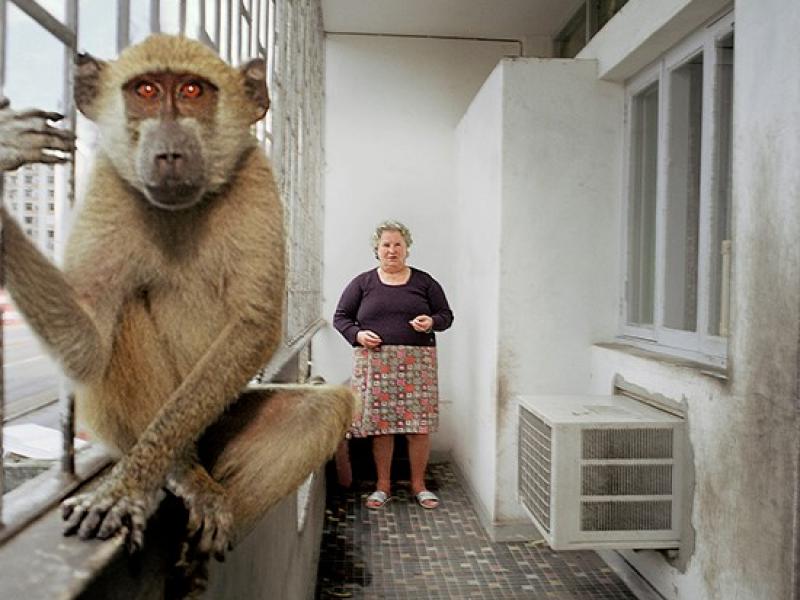 En kvinde står på en balkon med en abe i forgrunden. Begge kigger ind i kameraet