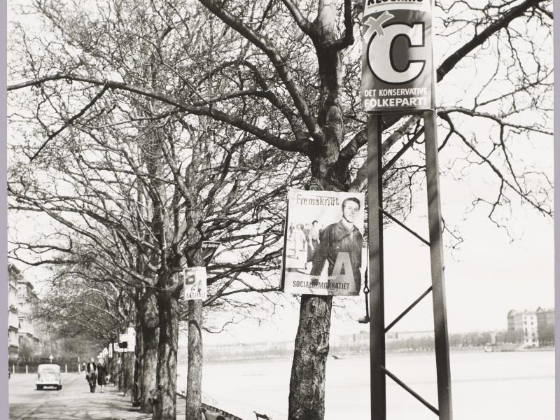 Election posters are hung on poles and trees along the lakes in Copenhagen