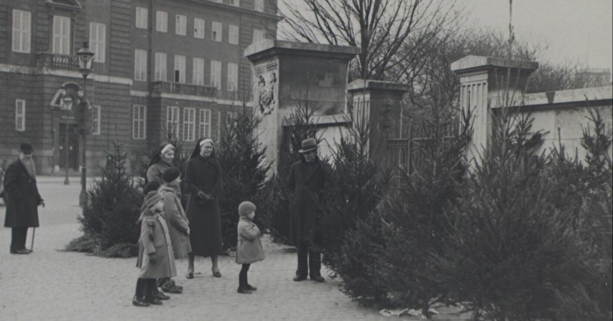 Fotografi af juletræssalg i Ørstedsparken