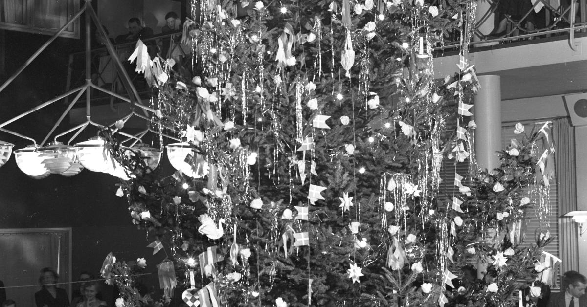 Fotografi af et stort juletræ fra en juletræsfest